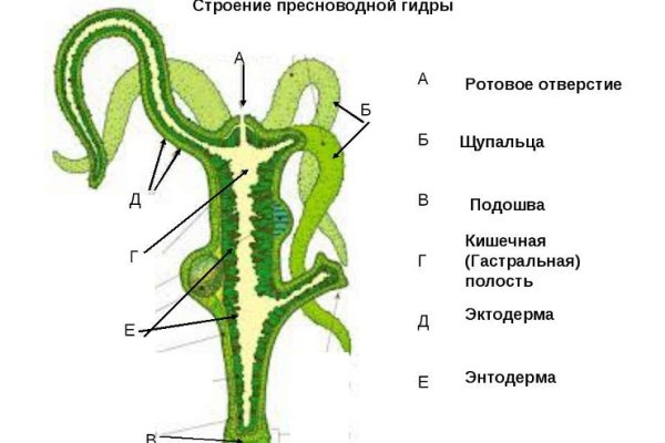 Впн для кракена